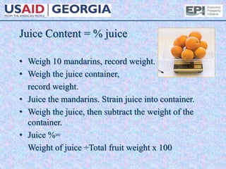 Juice Content = % juice
• Weigh 10 mandarins, record weight.
• Weigh the juice container,
record weight.
• Juice the mandarins. Strain juice into container.
• Weigh the juice, then subtract the weight of the
container.
• Juice %=
Weight of juice ÷Total fruit weight x 100
 