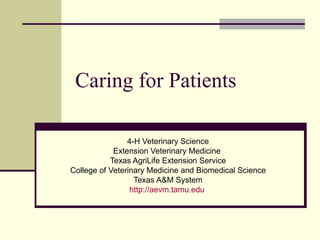 Caring for Patients 4-H Veterinary Science Extension Veterinary Medicine  Texas AgriLife Extension Service College of Veterinary Medicine and Biomedical Science Texas A&M System http:// aevm.tamu.edu   