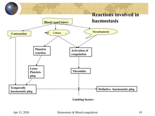 Comprehensive Overview of Hemostasis and Blood Coagulation Mechanisms | PPT