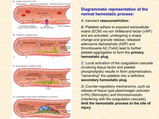 4 hemostasis&thrombosis | PPT