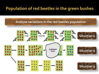 Analyse variations in the red beetles population



                                           Situation 1



                                           Situation 2



                                           Situation 3
 
