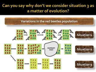 Variations in the red beetles population



                                       Situation 1



                                       Situation 2



                                       Situation 3
 