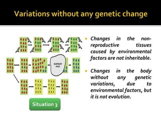    Changes in the non-
                  reproductive         tissues
                  caused by environmental
                  factors are not inheritable.

                 Changes in the body
                  without       any    genetic
                  variations,       due    to
                  environmental factors, but
                  it is not evolution.
Situation 3
 