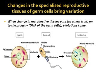    When change in reproductive tissues pass (as a new trait) on
    to the progeny (DNA of the germ cells), evolutions come.
 