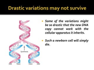    Some of the variations might
    be so drastic that the new DNA
    copy cannot work with the
    cellular apparatus it inherits.

   Such a newborn cell will simply
    die.
 