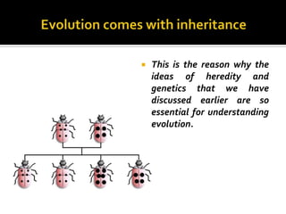    This is the reason why the
    ideas of heredity and
    genetics that we have
    discussed earlier are so
    essential for understanding
    evolution.
 