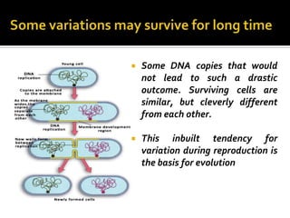    Some DNA copies that would
    not lead to such a drastic
    outcome. Surviving cells are
    similar, but cleverly different
    from each other.

   This inbuilt tendency for
    variation during reproduction is
    the basis for evolution
 