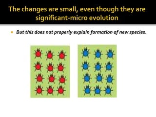    But this does not properly explain formation of new species.
 
