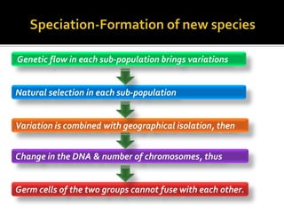 Genetic flow in each sub-population brings variations


Natural selection in each sub-population


Variation is combined with geographical isolation, then


Change in the DNA & number of chromosomes, thus


Germ cells of the two groups cannot fuse with each other.
 