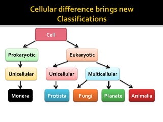 Cell


Prokaryotic              Eukaryotic


Unicellular    Unicellular      Multicellular



 Monera       Protista       Fungi     Planate   Animalia
 