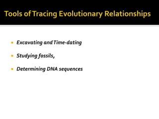    Excavating and Time-dating

   Studying fossils,

   Determining DNA sequences
 