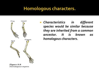    Characteristics     in   different
    species would be similar because
    they are inherited from a common
    ancestor. It is known as
    homologous characters.
 