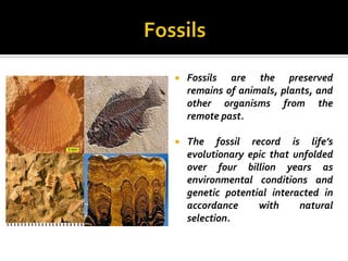    Fossils are the preserved
    remains of animals, plants, and
    other organisms from the
    remote past.

   The fossil record is life’s
    evolutionary epic that unfolded
    over four billion years as
    environmental conditions and
    genetic potential interacted in
    accordance     with     natural
    selection.
 