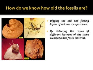    Digging the soil and finding
    layers of soil and rock particles.

   By detecting the ratios of
    different isotopes of the same
    element in the fossil material.
 