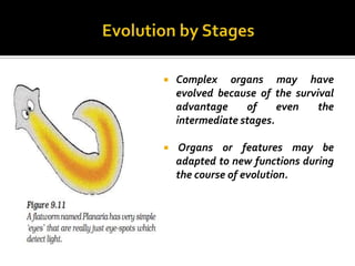    Complex organs may have
    evolved because of the survival
    advantage     of     even   the
    intermediate stages.

   Organs or features may be
    adapted to new functions during
    the course of evolution.
 