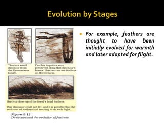    For example, feathers are
    thought to have been
    initially evolved for warmth
    and later adapted for flight.
 