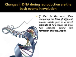    If that is the case, then
    comparing the DNA of different
    species should give us a direct
    estimate of how much the DNA
    has    changed     during   the
    formation of these species.
 
