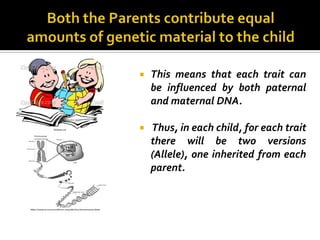   This means that each trait can
    be influenced by both paternal
    and maternal DNA.

   Thus, in each child, for each trait
    there will be two versions
    (Allele), one inherited from each
    parent.
 