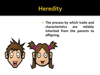    The process by which traits and
    characteristics are     reliably
    inherited from the parents to
    offspring.
 