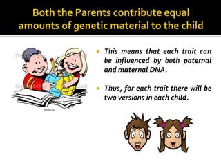    This means that each trait can
    be influenced by both paternal
    and maternal DNA.

   Thus, for each trait there will be
    two versions in each child.
 