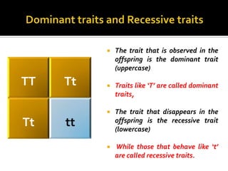    The trait that is observed in the
              offspring is the dominant trait
              (uppercase)

TT   Tt      Traits like ‘T’ are called dominant
              traits,

             The trait that disappears in the
Tt   tt       offspring is the recessive trait
              (lowercase)

             While those that behave like ‘t’
              are called recessive traits.
 