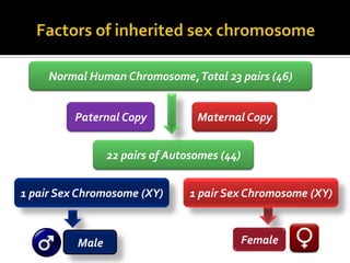 Normal Human Chromosome, Total 23 pairs (46)


         Paternal Copy            Maternal Copy


                 22 pairs of Autosomes (44)


1 pair Sex Chromosome (XY)       1 pair Sex Chromosome (XY)



          Male                                Female
 