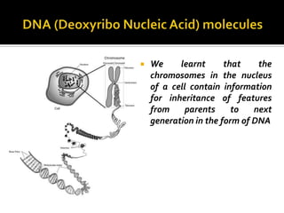    We     learnt      that    the
    chromosomes in the nucleus
    of a cell contain information
    for inheritance of features
    from     parents     to   next
    generation in the form of DNA
 