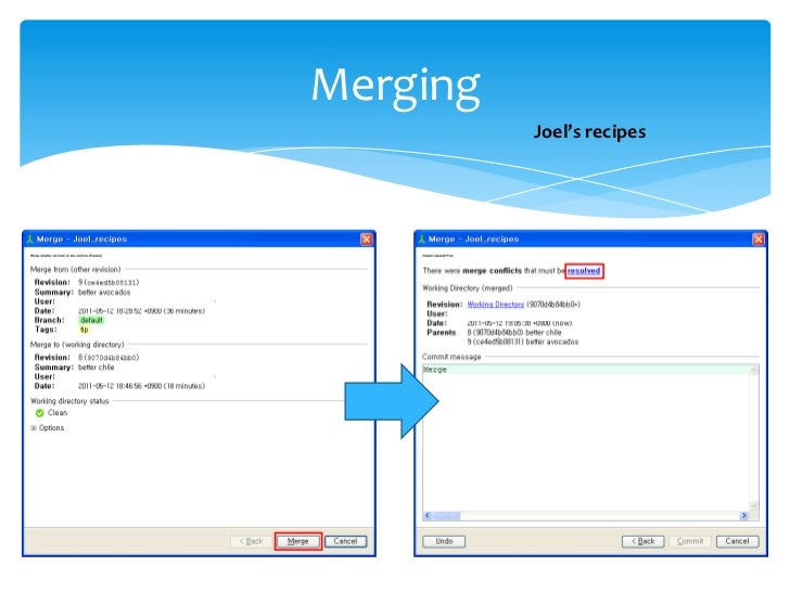 4. hg init – a mercurial tutorial by tortoise hg merging
