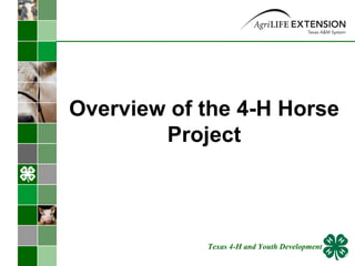 Overview of the 4-H Horse Project Texas 4-H and Youth Development 