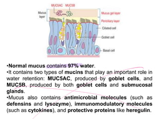 Mucous Classification Comprehensive Histology of the Human Respiratory System: Structure and ...