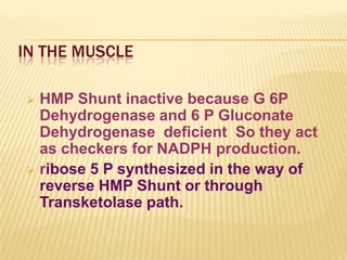 hmp-shunt | PPTX