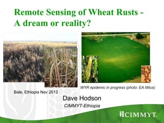 Remote Sensing of Wheat Rusts A dream or reality?

Bale, Ethiopia Nov 2013

Dave Hodson
CIMMYT-Ethiopia

 