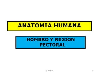 ANATOMIA HUMANA
HOMBRO Y REGION
PECTORAL
1L.A.M.D
 