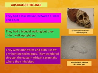 4 hominids-human evolution-(i) | PPTX