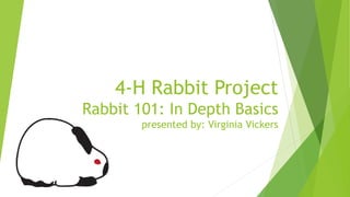 4-H Rabbit Project
Rabbit 101: In Depth Basics
presented by: Virginia Vickers
 