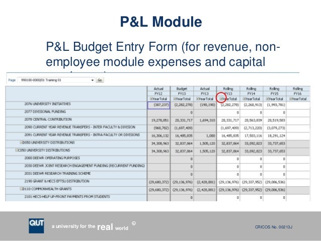 p and l form