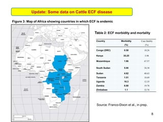 8
Update: Some data on Cattle ECF disease
Figure 3: Map of Africa showing countries in which ECF is endemic
Country Morbid...