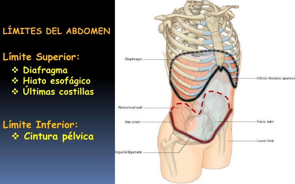 4. imagenología de abdomen clase