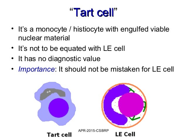 Tarlette Cell 4 immunology-csbrp