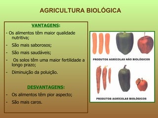 AGRICULTURA BIOLÓGICA VANTAGENS : - Os alimentos têm maior qualidade nutritiva; São mais saborosos; São mais saudáveis; Os solos têm uma maior fertilidade a longo prazo; Diminuição da poluição. DESVANTAGENS : Os alimentos têm pior aspecto; São mais caros. 