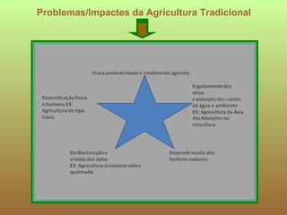 Problemas/Impactes da Agricultura Tradicional 