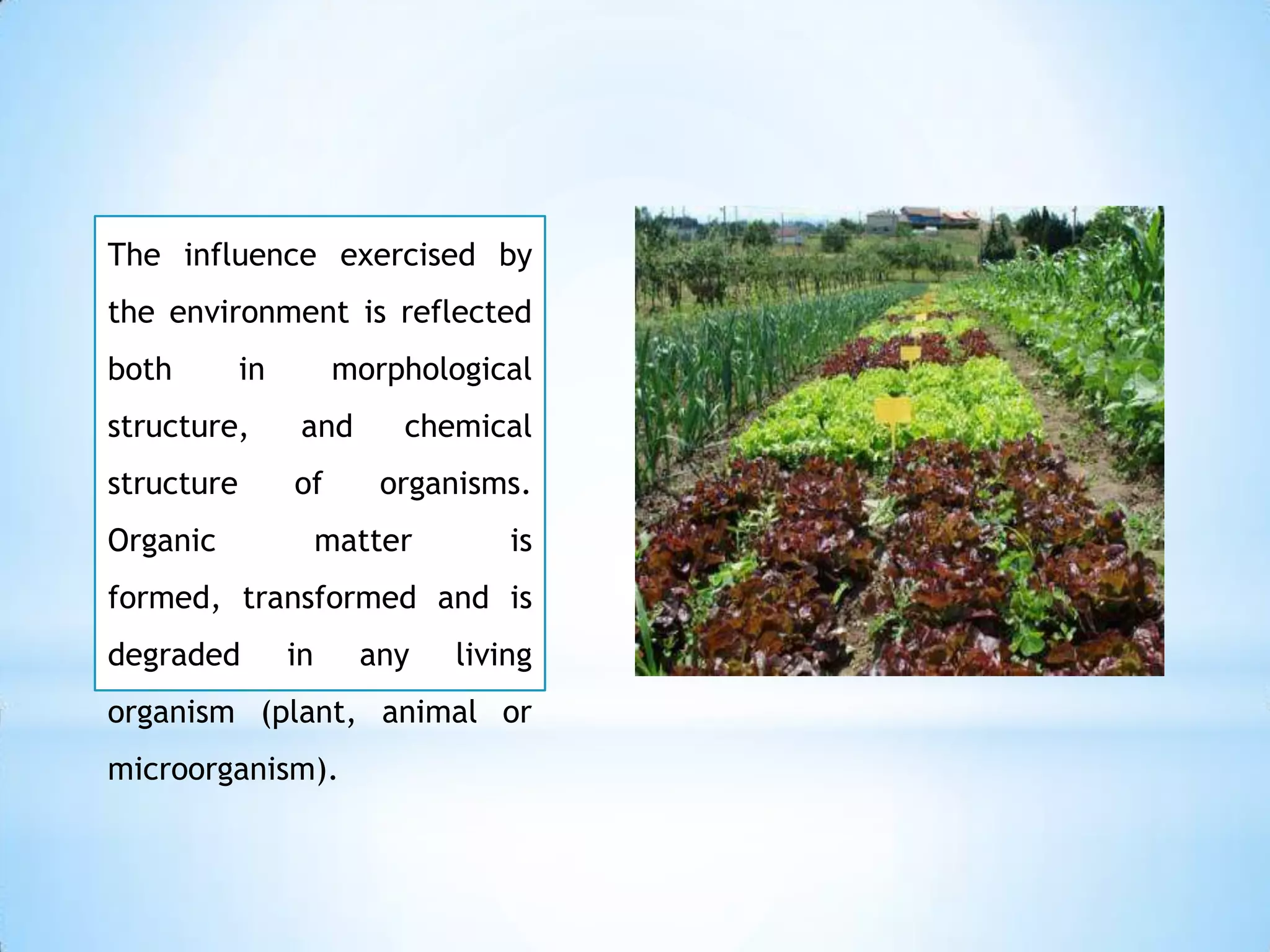 The influence exercised by
the environment is reflected
both        in         morphological
structure,        and      chemical
structure        of       organisms.
Organic               matter       is
formed, transformed and is
degraded         in     any    living
organism (plant, animal or
microorganism).
 