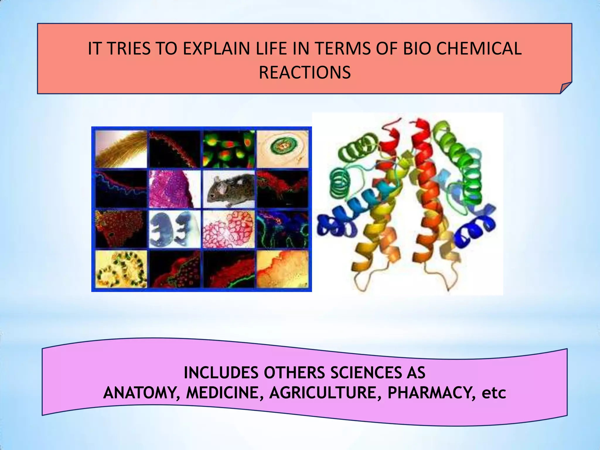 IT TRIES TO EXPLAIN LIFE IN TERMS OF BIO CHEMICAL
                    REACTIONS




         INCLUDES OTHERS SCIENCES AS
 ANATOMY, MEDICINE, AGRICULTURE, PHARMACY, etc
 