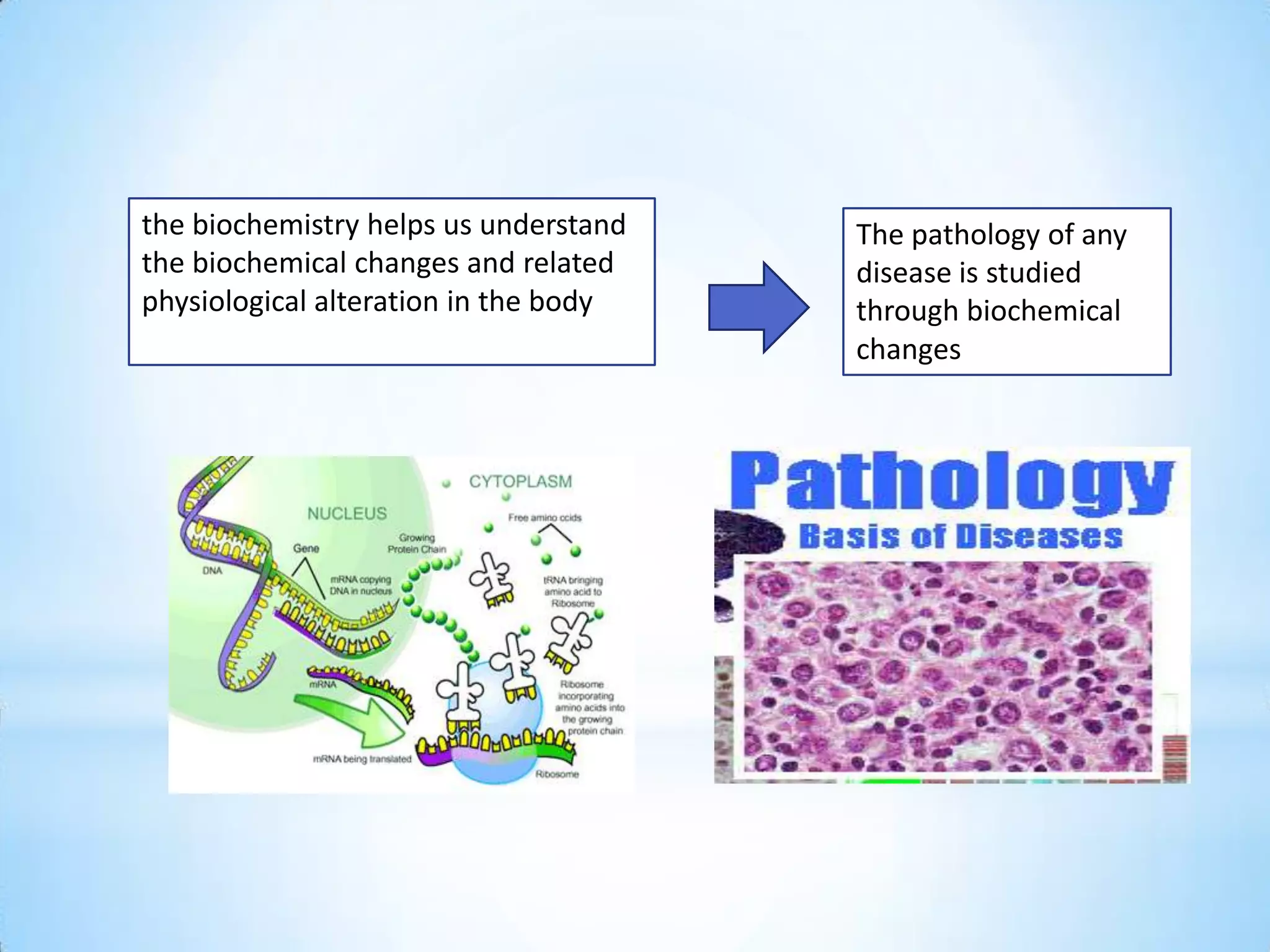 the biochemistry helps us understand   The pathology of any
the biochemical changes and related    disease is studied
physiological alteration in the body   through biochemical
                                       changes
 