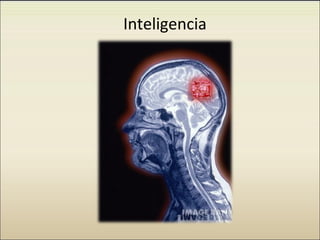 Inteligencia
 