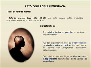 PATOLOGÍAS DE LA INTELIGENCIA

Tipos de retardo mental


 Retardo mental leve (C.I. 50-69),   en   este   grupo   están   incluidos
aproximadamente un 80% de los R.M.

                            Características:


                               Son sujetos lentos en percibir los objetos y
                               recibir órdenes



                               Pueden alcanzar un nivel de cuarto a sexto
                               grado de enseñanza básica, siempre que se
                               les apoye con programas educativos
                               estructurados.


                               De adultos pueden llegar a vivir en forma
                               independiente requiriendo cierto grado de
                               supervisión.
 