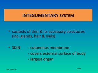 INTEGUMENTARY SYSTEM


  • consists of skin & its accessory structures
    (inc. glands, hair & nails)

  • SKIN         - cutaneous membrane
                 - covers external surface of body
                 - largest organ
                                            Jan,08
HSC1004-8/S3
 