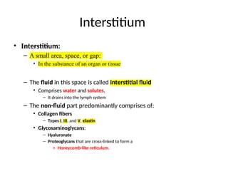 Interstitium
• Interstitium:
– A small area, space, or gap:
• In the substance of an organ or tissue
– The fluid in this space is called interstitial fluid
• Comprises water and solutes,
– It drains into the lymph system
– The non-fluid part predominantly comprises of:
• Collagen fibers
– Types I, III, and V, elastin
• Glycosaminoglycans:
– Hyaluronate
– Proteoglycans that are cross-linked to form a
» Honeycomb-like reticulum.
 