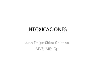 INTOXICACIONES
Juan Felipe Chica Galeano
MVZ, MD, Dp
 