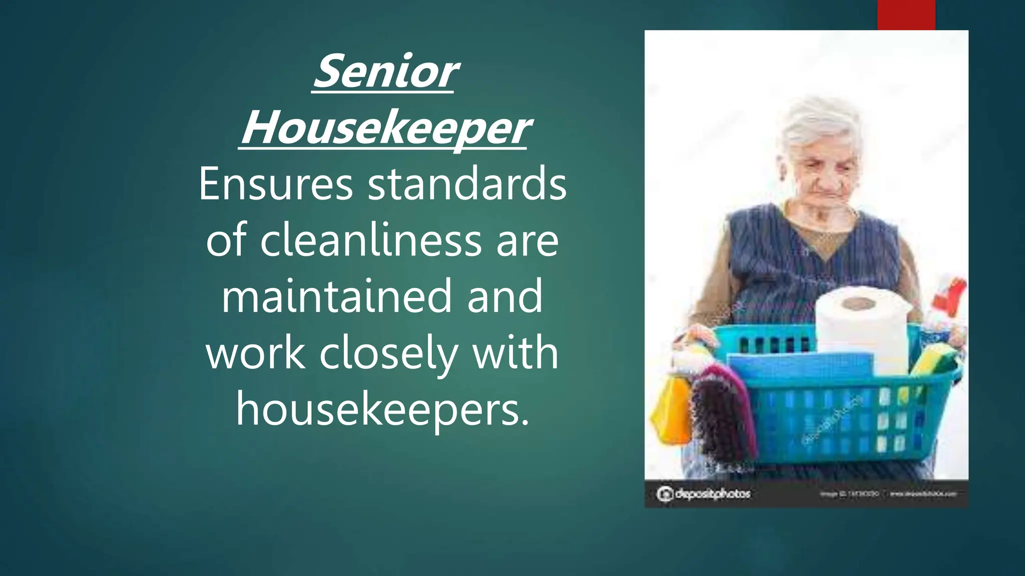 Senior
Housekeeper
Ensures standards
of cleanliness are
maintained and
work closely with
housekeepers.
 